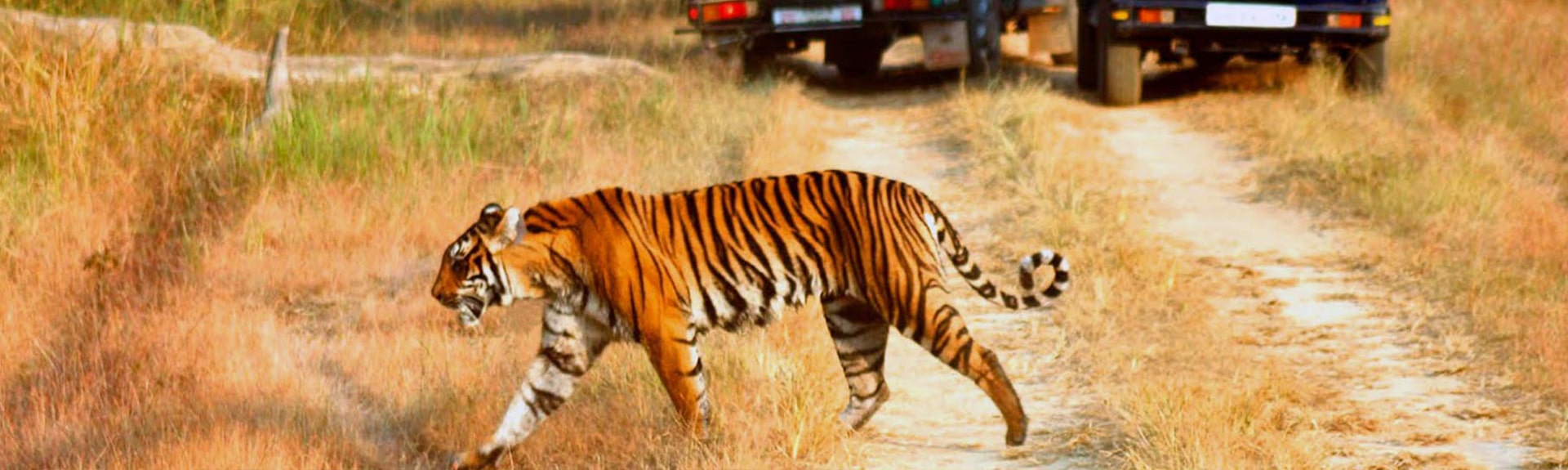 Jim Corbett National Park Tour