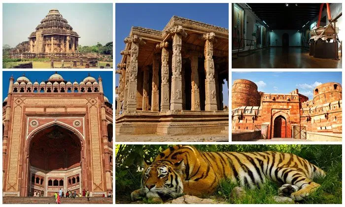 incredible tour to india